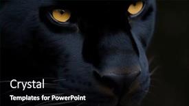  Presentation with dark - PPT theme having black-panther-face-on-dark background and a black colored foreground
