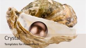  Presentation with black pearl - Beautiful slides featuring black pearl is backdrop and a  colored foreground