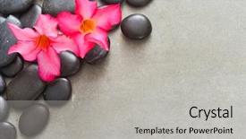  Presentation with red grey - Slide set consisting of black pebbles and red background and a light gray colored foreground