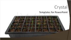  Presentation with sustainable food - Theme enhanced with black-plastic-seed-tray background and a white colored foreground