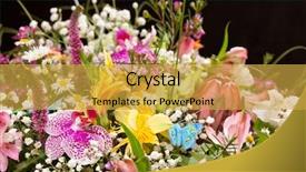  Presentation with flowers - Slide deck having black rose - bouquet of colorful flowers background and a yellow colored foreground