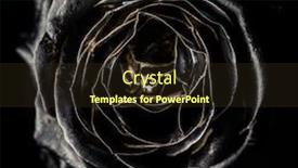  Presentation with gold border - Beautiful presentation theme featuring black-rose-with-gold-border backdrop and a wine colored foreground