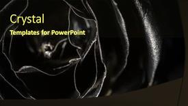  Presentation with gold border - Colorful presentation theme enhanced with black-rose-with-gold-border backdrop and a wine colored foreground