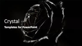  Presentation with gold design - PPT theme with black-rose-with-gold-border background and a black colored foreground