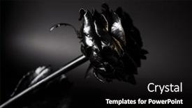  Presentation with gold design - Colorful slide set enhanced with black-rose-with-gold-border backdrop and a black colored foreground