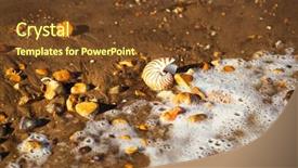  Presentation with sea shell - Beautiful presentation design featuring black sand beach isle backdrop and a tawny brown colored foreground