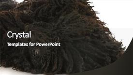  Presentation with hotdog corn dog street junk - Cool new PPT theme with black sheep - dog roll over - corded backdrop and a  colored foreground