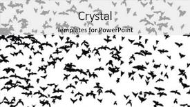  Presentation with birds flying - Cool new PPT theme with black silhouettes of birds flying backdrop and a light gray colored foreground