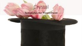  Presentation with pink silk - Cool new slide deck with black silk top hat with bouquet pink tulips isolated over white background backdrop and a sky blue colored foreground