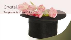  Presentation with pink silk - Presentation enhanced with black silk top hat with bouquet pink tulips isolated over white background background and a lemonade colored foreground