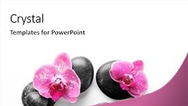  Presentation with spa white orchids black - Slide deck with black spa stones and orchids background and a white colored foreground