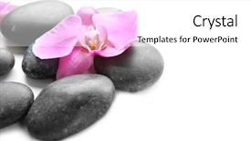  Presentation with spa white orchids black - Cool new presentation with black spa stones and orchids isolated on white backdrop and a white colored foreground