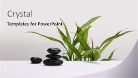  Presentation with green leaf - PPT theme having black-stone-and-green-bamboo background and a white colored foreground