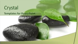  Presentation with green leaves - Beautiful slide set featuring black stones and green leaves backdrop and a yellow colored foreground