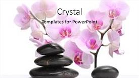  Presentation with pink black - Presentation theme enhanced with japan gift - black stones and pink orchid background and a white colored foreground