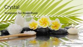  Presentation with plumeria - Cool new PPT layouts with black stones and plumeria backdrop and a yellow colored foreground