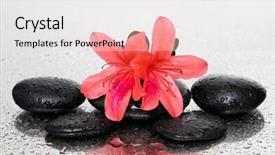  Presentation with lily flower - Beautiful presentation design featuring black-stones-and-red-lily backdrop and a lemonade colored foreground