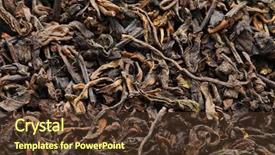  Presentation with black tea - Audience pleasing PPT theme consisting of black tea backdrop and a tawny brown colored foreground