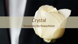  Presentation with white rose - Amazing slides having black tie event - white rose on the suit backdrop and a  colored foreground