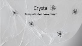  Presentation with halloween - Presentation theme with black toy spiders on artificial background and a light gray colored foreground