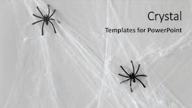  Presentation with science concept painted black brain - Audience pleasing slides consisting of black toy spiders on artificial backdrop and a light gray colored foreground