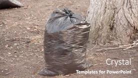  Presentation with cleaning service - Cool new PPT theme with black-trash-plastic-bags-full backdrop and a gray colored foreground
