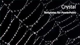  Presentation with water droplet drops on plant - PPT theme featuring black white abstract - shining water drops on spiderweb background and a black colored foreground