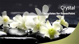  Presentation with orchid - Slides featuring group of perfume bottles isolated over white background and a white colored foreground