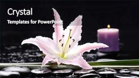  Presentation with lily flower - Cool new PPT theme with black white flower - macro of beautiful lily backdrop and a  colored foreground