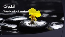  Presentation with autism and therapy - Colorful PPT layouts enhanced with black white flower - therapy stones with yellow orchid backdrop and a black colored foreground