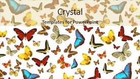  Presentation with butterflies - Theme enhanced with black white stripe - butterflies background background and a blonde colored foreground