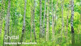  Presentation with stripe - Theme featuring black white stripe - sunny day in the summer background and a seafoam green colored foreground