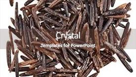  Presentation with wild birds black capped chickadee - Theme consisting of black wild rice top view background and a tawny brown colored foreground