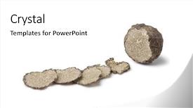  Presentation with winter - PPT theme consisting of black winter truffle truffle and slices on white background background and a white colored foreground