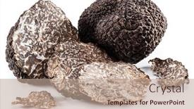  Presentation with automotive black and white - Slide deck featuring black-winter-truffles-and-truffle background and a coral colored foreground