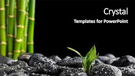  Presentation with zen stones - Slides consisting of black zen stones and bamboo background and a black colored foreground