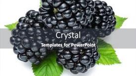  Presentation with blackberry - Amazing PPT theme having blackberries-with-blackberry-leaves-isolated backdrop and a tawny brown colored foreground