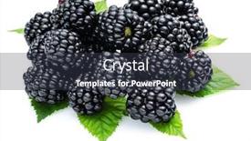  Presentation with blackberry - Slides consisting of blackberries-with-blackberry-leaves-isolated background and a tawny brown colored foreground