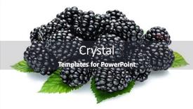  Presentation with blackberry - Cool new PPT theme with blackberries-with-blackberry-leaves-isolated backdrop and a dark gray colored foreground