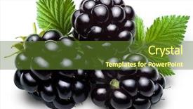  Presentation with blackberry - Colorful presentation enhanced with blackberries with blackberry leaves isolated backdrop and a tawny brown colored foreground