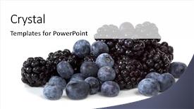  Presentation with blueberries - Audience pleasing presentation consisting of blackberry - blackberries and blueberries isolated backdrop and a white colored foreground