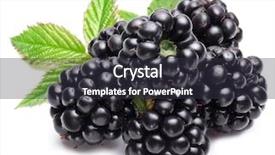  Presentation with blackberry - Amazing PPT theme having blackberry - blackberries isolated on white background backdrop and a tawny brown colored foreground