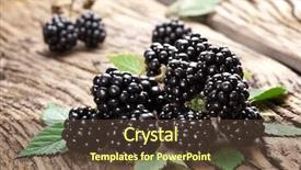  Presentation with blackberry - Audience pleasing presentation theme consisting of blackberry - blackberries isolated on wooden background backdrop and a tawny brown colored foreground