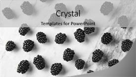  Presentation with blackberry - Theme consisting of blackberry - delicious ripe blackberries on light background and a light gray colored foreground