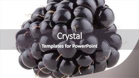  Presentation with blackberry - Slides having blackberry - fruit and food background and a dark gray colored foreground