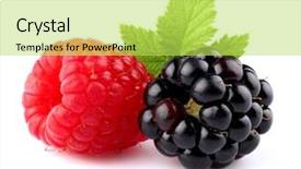 Presentation with blueberry - Audience pleasing PPT theme consisting of blackberry - raspberry with blueberry backdrop and a yellow colored foreground