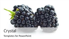  Presentation with blackberry - Presentation with blackberry - tasty fresh blackberries isolated background and a white colored foreground