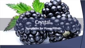  Presentation with blackberry - Slide deck enhanced with blackberry - three blackberries on the white background and a ocean colored foreground