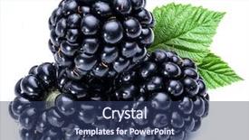  Presentation with blackberry - Colorful slide set enhanced with blackberry - three blackberries on the white backdrop and a ocean colored foreground