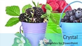  Presentation with blackberry - PPT theme with blackberry dewberry raspberries blueberries fresh tasty forest garden berries in colored bucket with fresh green leaves and flower collection set close up isolated on a white background background and a arctic colored foreground
